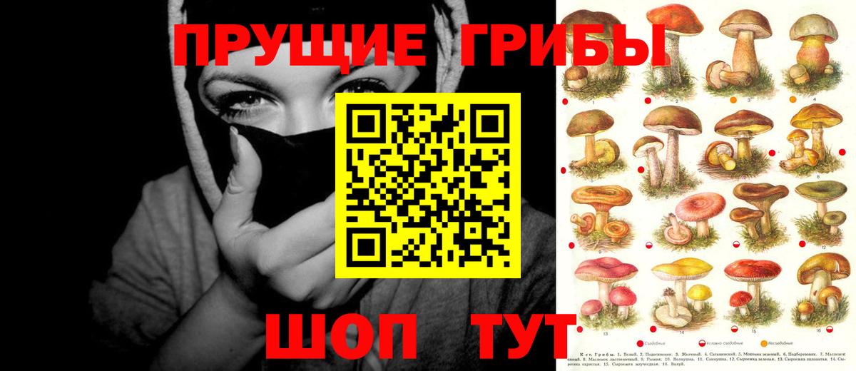 Галлюциногенные грибы Psilocybe  Вход с VPN  Псилоцибиновые грибы Psilocybe  Котовск 